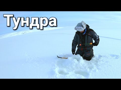 Видео: КУМЖА в ТУНДРЕ КОЛЬСКОГО ПОЛУОСТРОВА