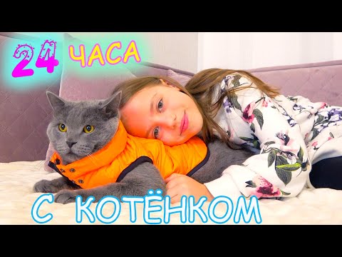 Видео: 24 часа ЧЕЛЛЕНДЖ Ухаживаю за КОТЁНКОМ Мой ДЕНЬ с питомцем My little Nastya