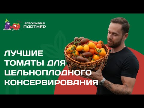 Видео: Лучшие томаты для цельноплодного консервирования #огород #томаты