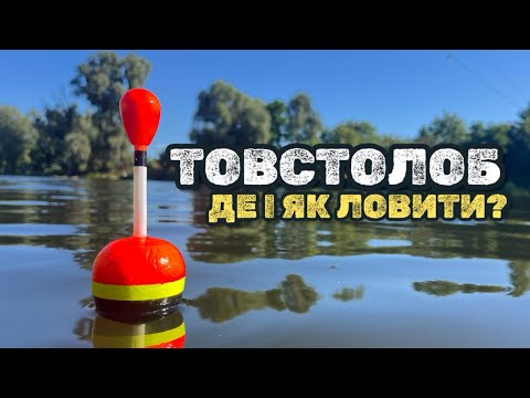 Видео: ЯК ТА ДЕ КРАЩЕ ЛОВИТИ ТОВСТОЛОБА? ПРАЦЮЮЧИЙ ТЕХНОПЛАНКТОН ДЛЯ ТОВСТОЛОБА! СЕЗОН 2025!