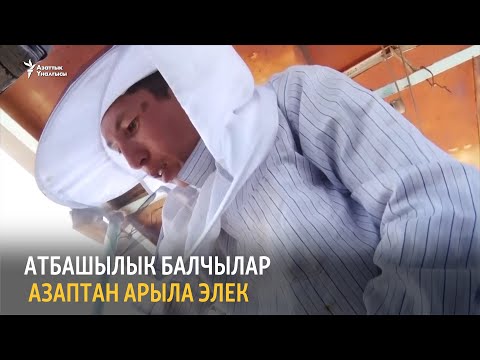 Видео: Атбашылык балчылар азаптан арыла элек