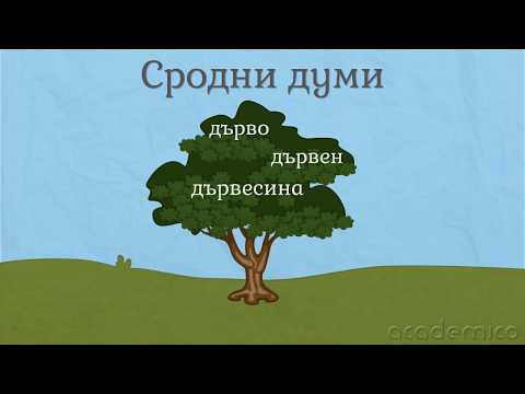 Видео: Сродни думи - Български език 3 клас | academico