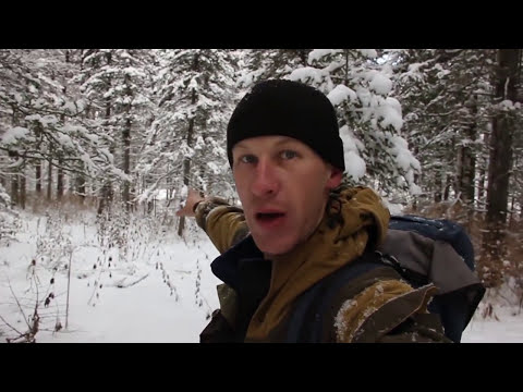 Видео: ЛЕСНЫЕ ИЗБЫ, КАК НА ПРОМЫСЛЕ