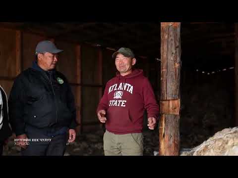 Видео: Nutgiin Khukh Chuluu Cooperative Нутгийн хөх чулуу хоршоо