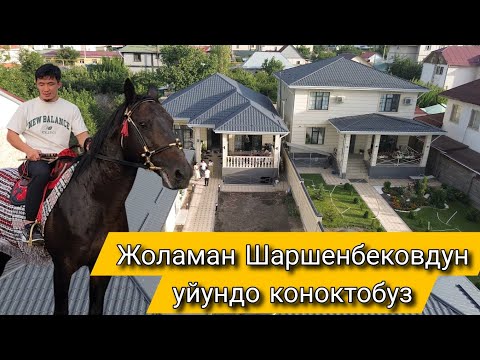 Видео: Жоламан Шаршенбековдун уйундо коноктобуз