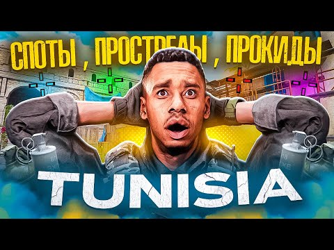 Видео: САМЫЕ ИМБОВЫЕ ПРОСТРЕЛЫ В CALL OF DUTY MOBILE / кал оф дьюти мобайл тунисия