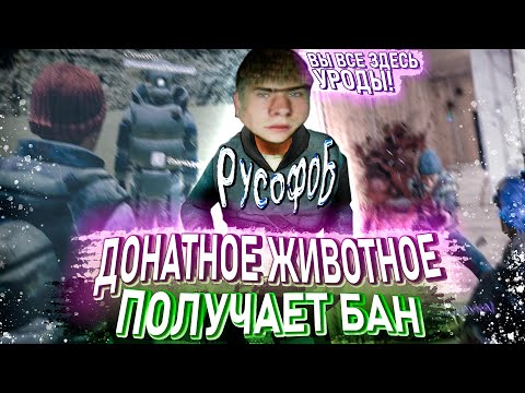 Видео: ДОНАТНОЕ ЖИВОТНОЕ В Garry's Mod DarkRP