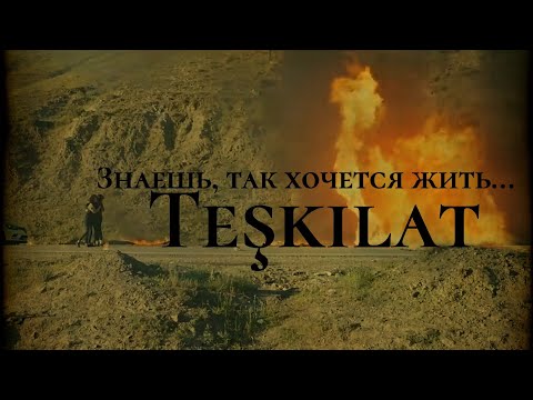 Видео: Команда Teşkilat — Знаешь, так хочется жить...