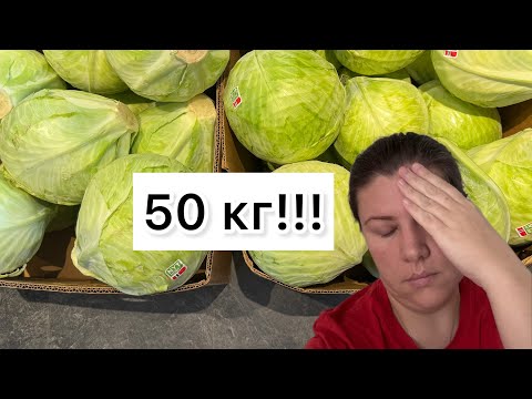 Видео: У НАС НАМЕЧАЕТСЯ ТУСОВКА!!! #жизньвнорвегии #норвегия #семьявместе 