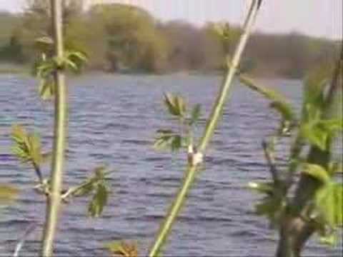 Видео: Юл Абрамов  "Там за рекою"