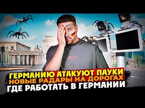 Видео: Германию атакуют ПАУКИ / новый радар на дорогах Германии / Мошенники в Германии