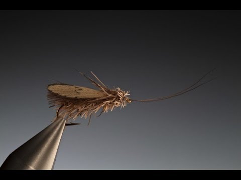 Видео: Завязываем чудо-крыло осоки/каддиса с Барри Ордом Кларком