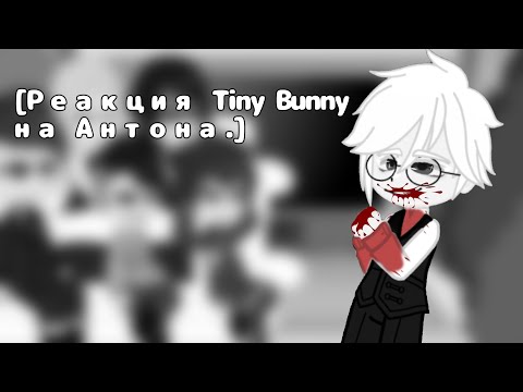 Видео: [~Реакция Tiny Bunny на Антона~]. (Ветка изгоя). см. на 0,75x (попытка 3.)