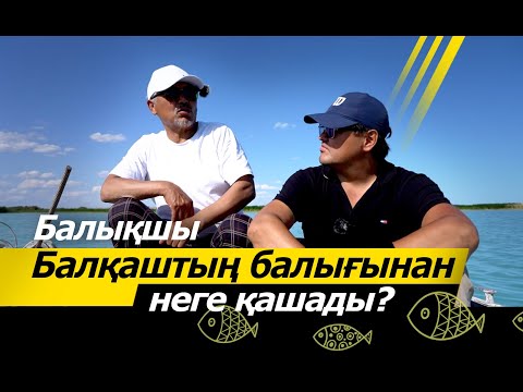 Видео: Балқаштың балығынан балықшылар неге қашады? Балқаш көлі кімдікі?