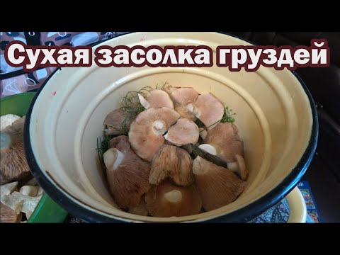Видео: Рецепт сухого засола груздей
