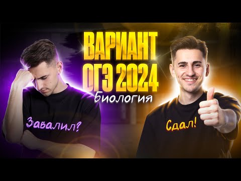 Видео: Разбор РЕАЛЬНОГО варианта ОГЭ по биологии 2024 | Федор Агеев