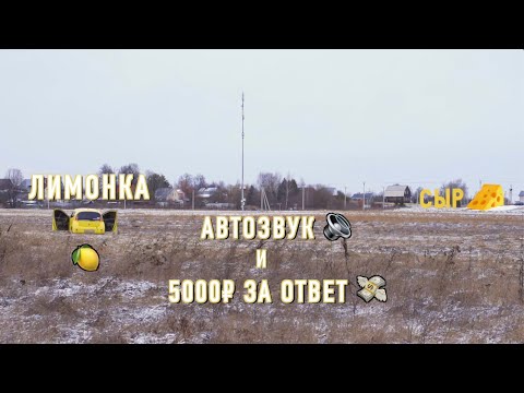 Видео: Громкая Toyota Will Cypha. Автозвук как собака!