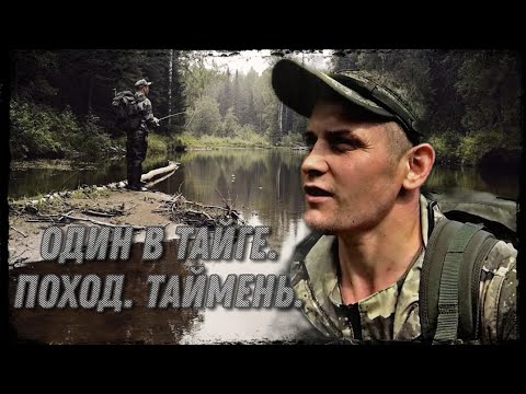 Видео: Один в тайге. Поход. Таймень.