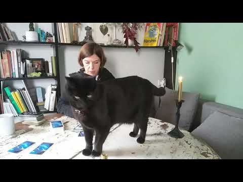 Видео: 🔥 Его надежды, мечты и реальность. Гадание таро онлайн