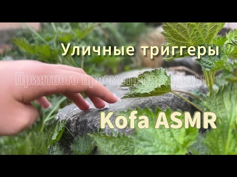 Видео: Асмр уличные триггеры/природа/свежий воздух/100% звук/постукивание ногтей