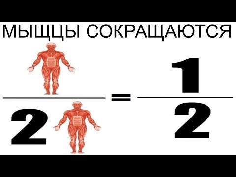 Видео: Дневная подборка мемов 721