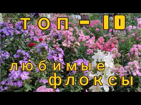 Видео: Самые-самые прекрасные из  моей  коллекции !