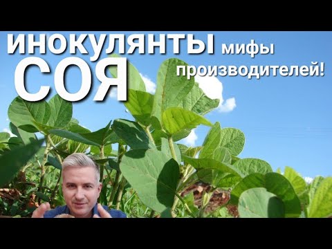 Видео: Соя "ИНОКУЛЯНТЫ- просто о сложном