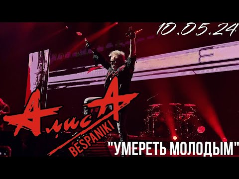 Видео: 10.05.24 - АлисА - "Умереть молодым" - Чёрная метка ХХХ лет