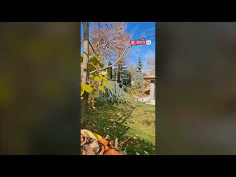 Видео: Краят на Сарая: Разрушават имота в "Бояна", в който живееше Ахмед Доган