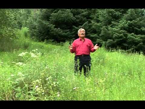 Видео: Кыргызча рухий клип Жыргал