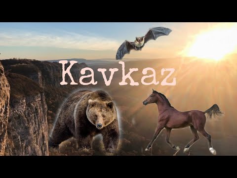 Видео: Ночной поход в горы. Северный Кавказ.