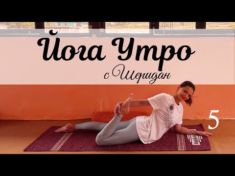 Видео: Утренняя МЯГКАЯ йога на ВСЕ ТЕЛО ☀️| День 5 йога челленджа