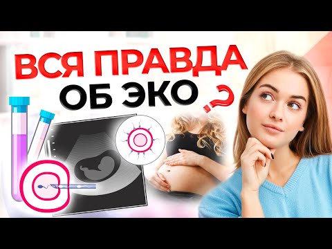 Видео: Процедура ЭКО: как проходит, основные этапы