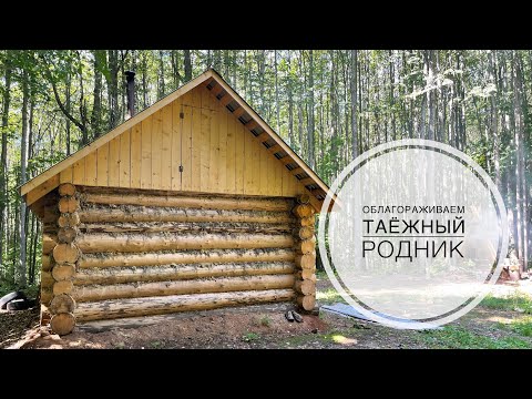 Видео: Автономный таёжный родничок | Облагораживаем родник