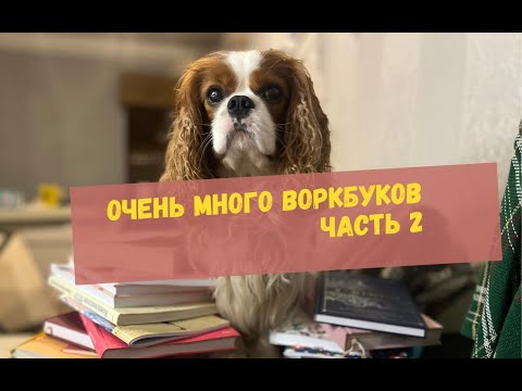 Видео: Воркбуки. Часть 2
