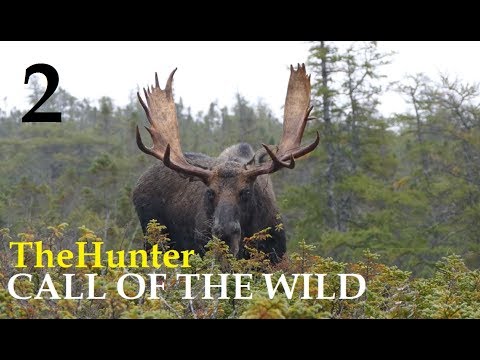 Видео: TheHunter Call of the Wild На ОХОТУ # 2