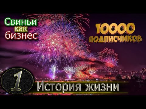 Видео: С ЧЕГО Я НАЧИНАЛ ?