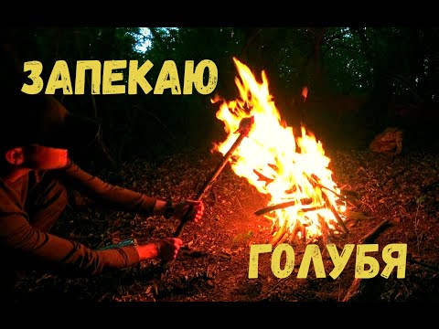 Видео: Выбрал Место для Лесного Лагеря. Добыл Вяхиря и Приготовил на Костре!