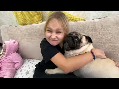 Видео: Алиса в гостях у бабушки играет с Тедди