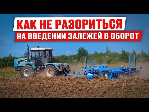 Видео: Обработка залежных земель |Трактор БТЗ с тяжелой дисковой бороной | БДТ Вепрь Ярославич