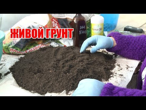 Видео: Готовим грунт под рассаду