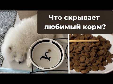 Видео: Я не люблю Royal Canin для щенков! Что в составе и на что обратить внимание?