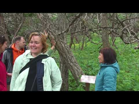 Видео: Дальний Восток. Остров Петрова. Часть 2