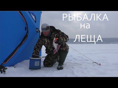 Видео: ОББУРИЛИ СО ВСЕХ СТОРОН! / РЫБАЛКА ПЕЧЕНЕГИ