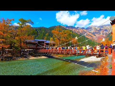 Видео: Осенние листья в Камикочи были потрясающе красивы в самый холодный день!