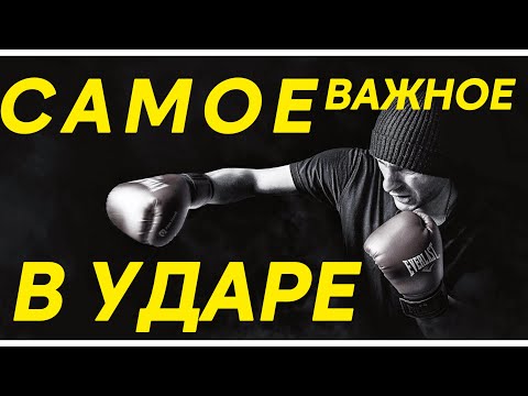 Видео: СИЛОВОЙ УДАР Или СКОРОСТНОЙ УДАР ? Что ЛУЧШЕ ?🥊