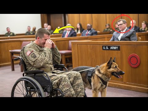 Видео: Завтра тебя казнят... но когда его K9 собака  заговорила, судья упал на колени, весь суд онемел!!!