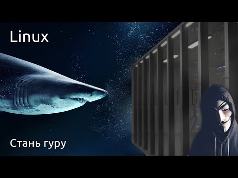 Видео: Сетевой гуру Linux. Пакеты под микроскопом. Порты, фильтрация пакетов, настройка интерфейсов
