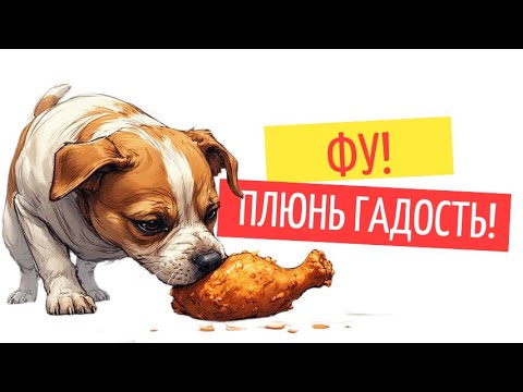 Видео: Проблема подбора пищевого мусора