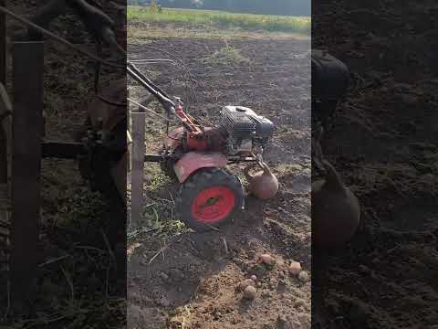 Видео: 26 серпня 2023 р.